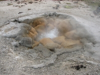 Bubbling pool